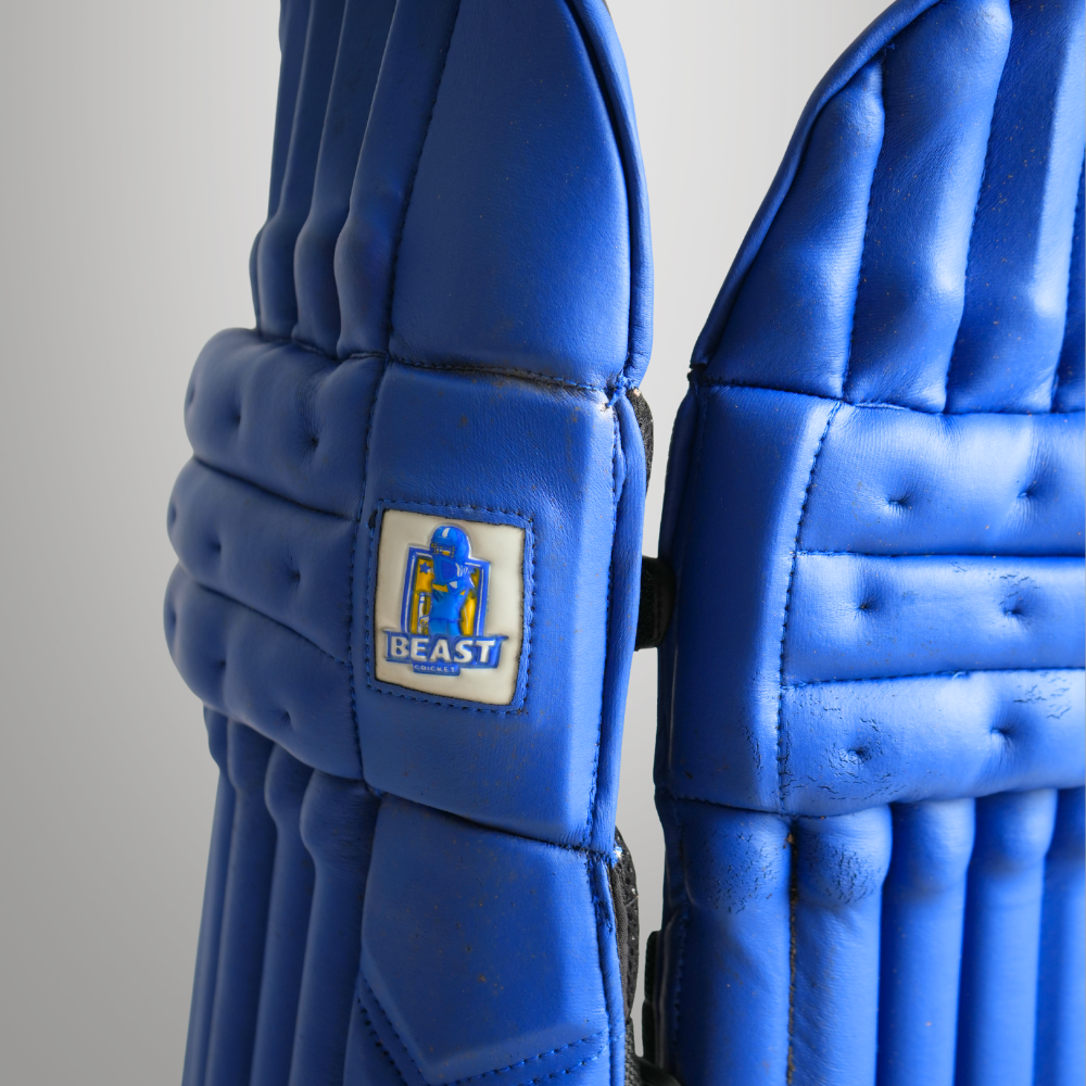 Lightweight Cricket Batting Pads | Blue