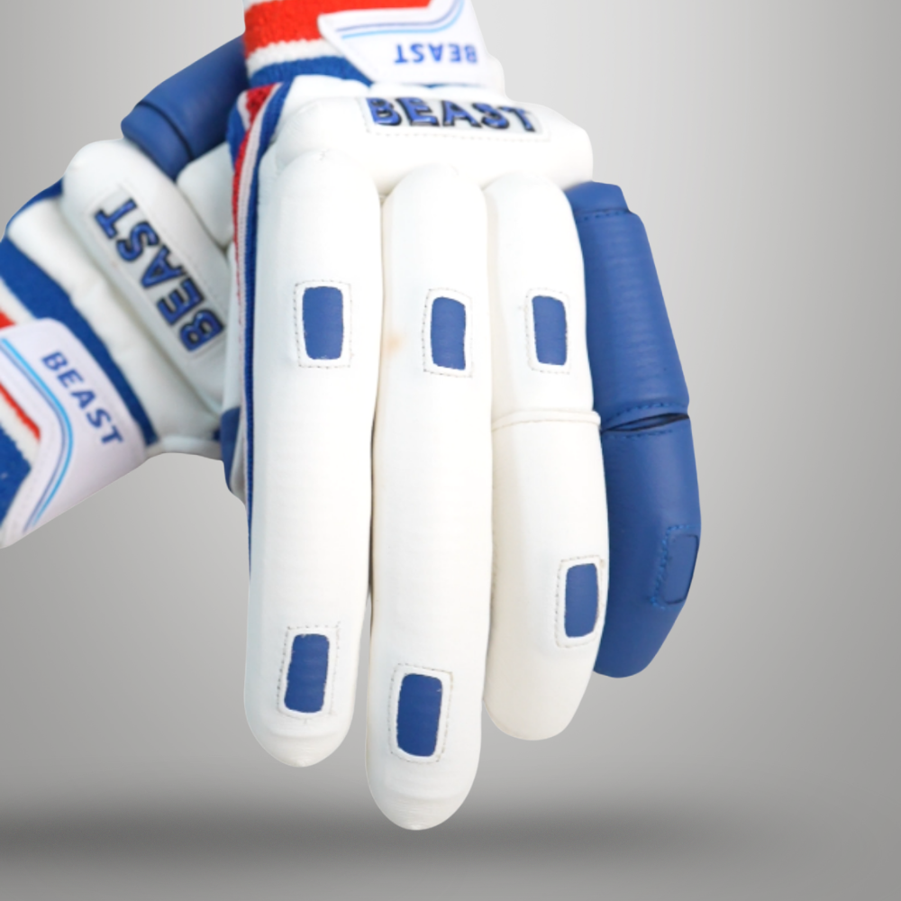 Batting Cut Players Gloves | Blue & White