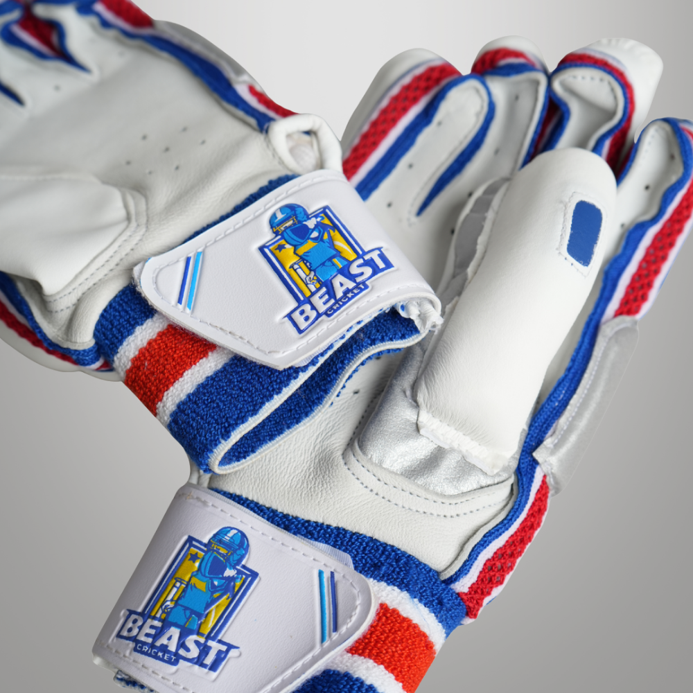 Batting Cut Players Gloves | Blue & White
